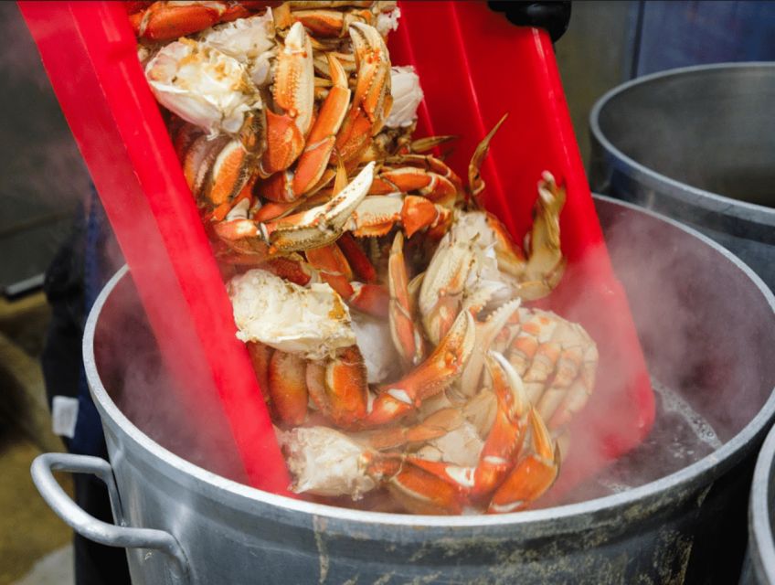 Ketchikan: Wilderness Boat Cruise and Crab Feast Lunch - Salad, Wine/Beer, and Dessert