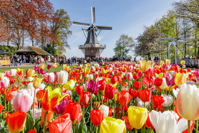 Keukenhof, Flower Fields, Volendam and Zaanse Schans Small-Group Tour - Accessibility and COVID-19 Measures