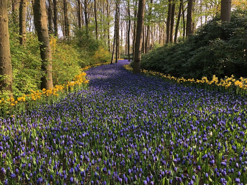 Keukenhof, Flower Fields & Zaanse Schans Windmills Tour - Exploring Keukenhof