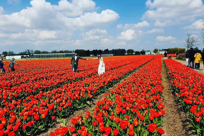 Keukenhof Gardens and Delft Guided Tour From Amsterdam - Inclusions and Exclusions