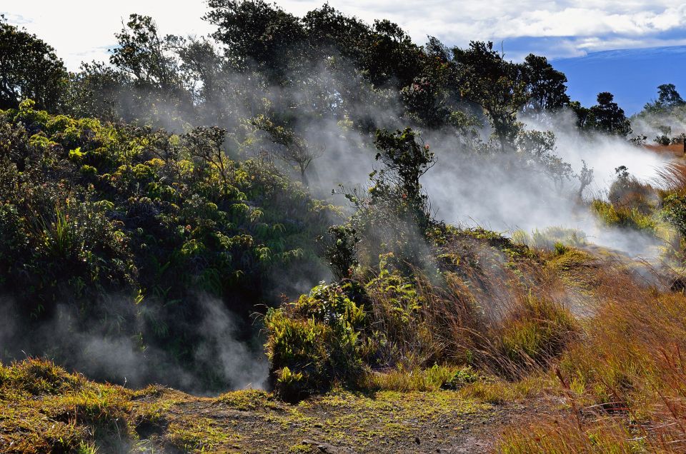 Kilauea: Volcanoes National Park Guided Hike - Customer Reviews