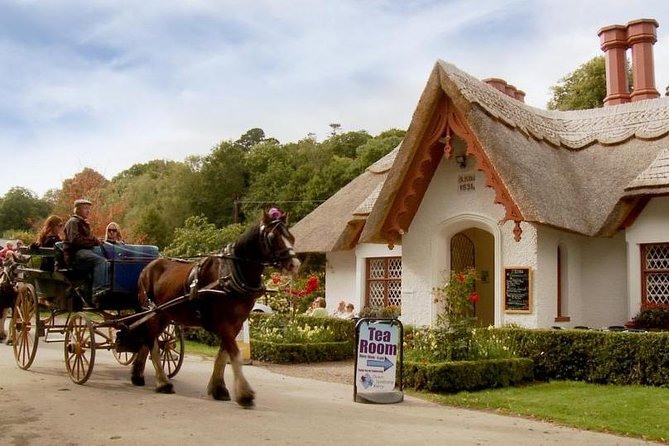 Killarney Jaunting Car Tour With Craft Brewery Beer & Pizza - Customer Feedback and Ratings