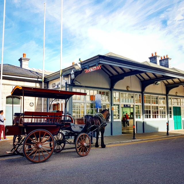 Killarney on Horse & Carriage: 1-Hour Jaunting Car Tour - Cancellation Policy