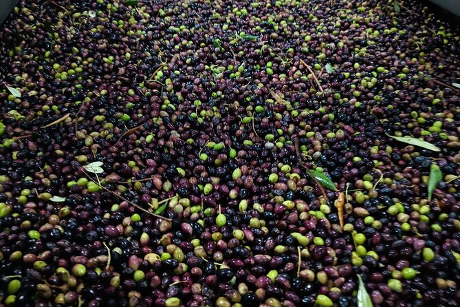 Kleanthi Olive Farm: Guided Tour With Local Delicacies Tasting - Maximum Group Size