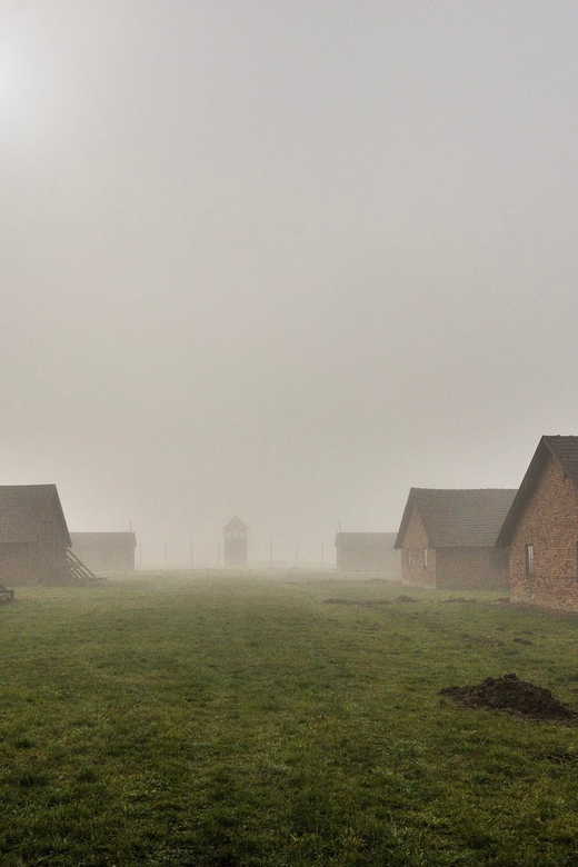 Krakow: Auschwitz-Birkenau Extended Guided Tour & Options - Meeting Points and Pickup