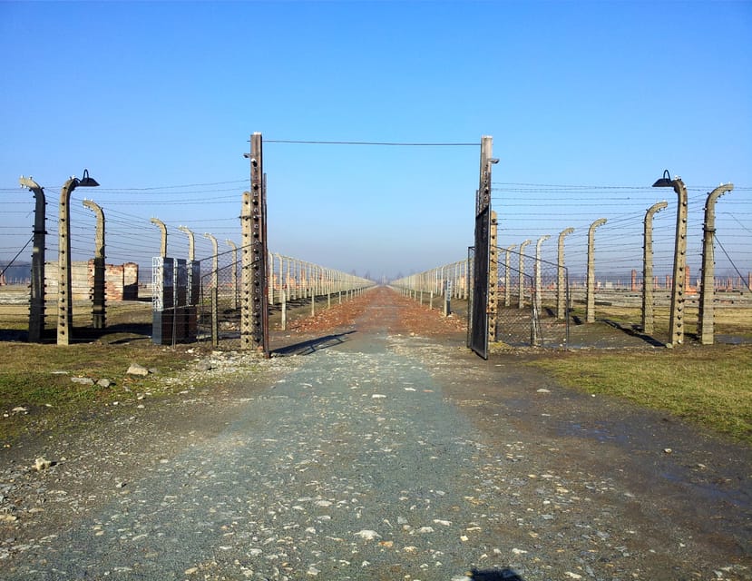 Krakow: Auschwitz-Birkenau Memorial Tour With Optional Lunch - Important Information for Visitors