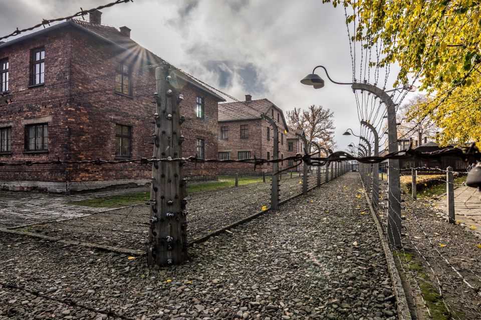 Kraków: Auschwitz-Birkenau & Salt Mine Full-Day Guided Tour - Tour Duration and Cancellation