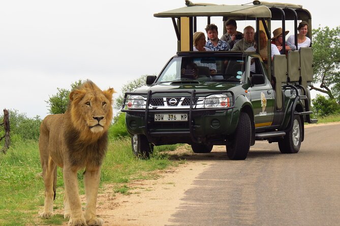 Kruger National Park Afternoon Private Safari - Directions to the Safari