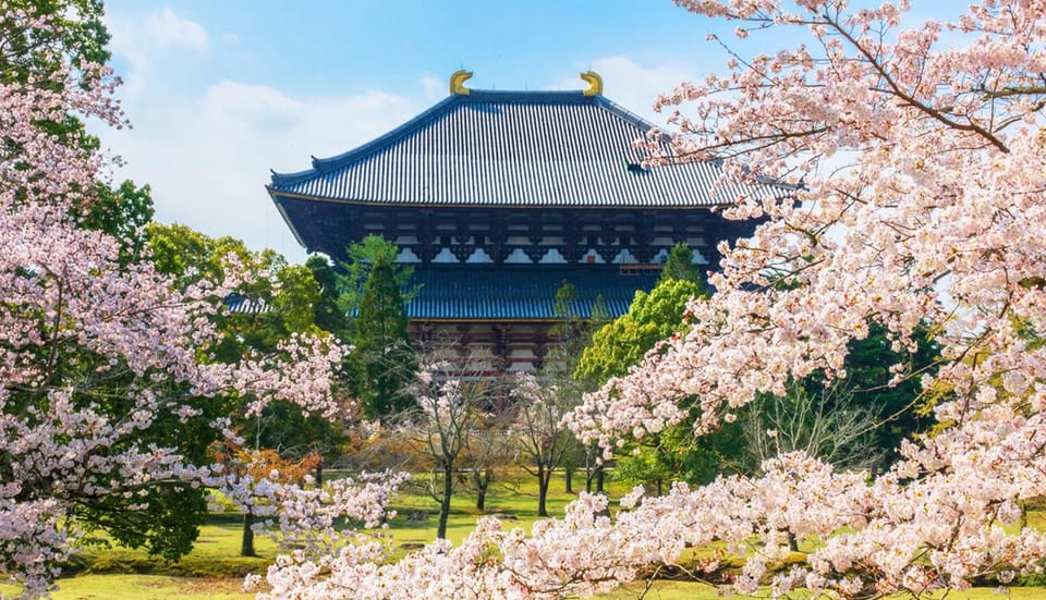 Kyoto and Nara Day Tour With Kiyomizu-Dera,Nara Park&Temple - Accessibility Considerations