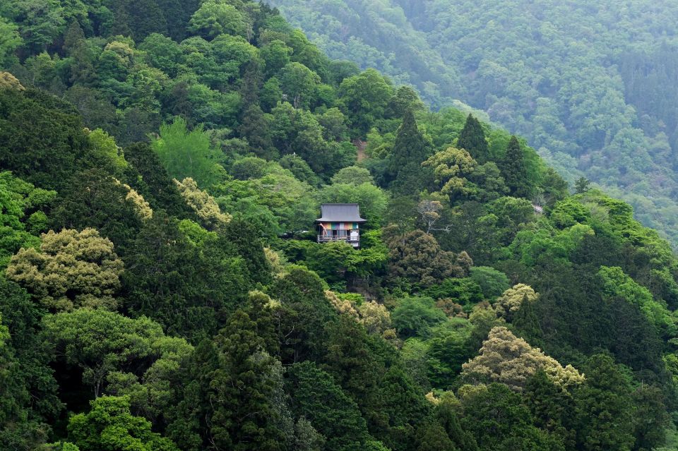 Kyoto: Arashiyama Forest Trek With Authentic Zen Experience - Meeting Point and Recommendations