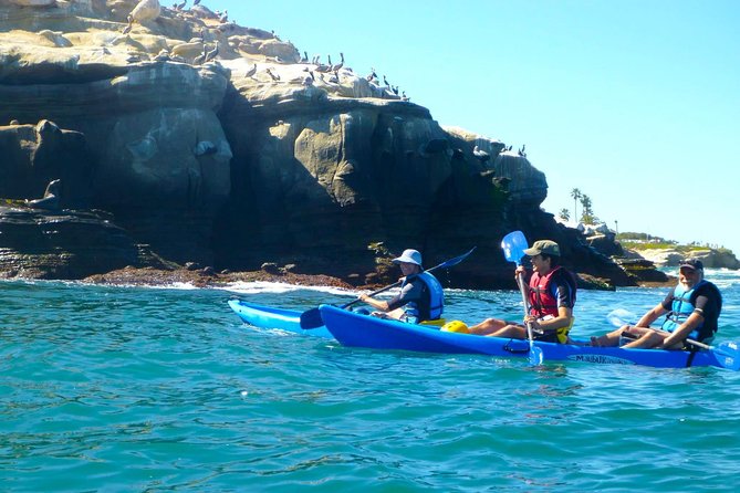 La Jolla Sea Caves Kayak Tour For Two (Tandem Kayak) - Customer Feedback and Experiences