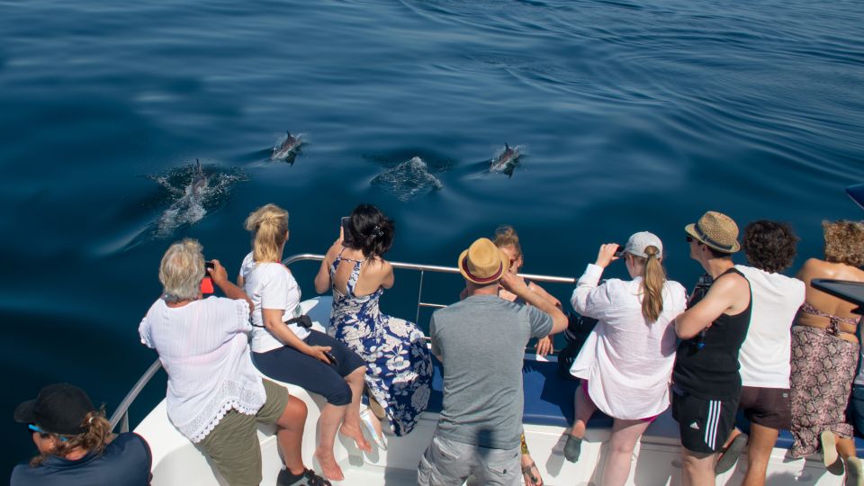 Lagos: Dolphin Watching Half-Day Cruise & Water Activities - Suitability and Language Support