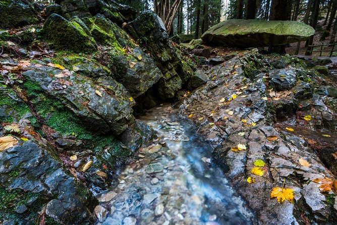 Lake Como Trekking Private Guided Tour, From Milan or Como - Guide Expertise