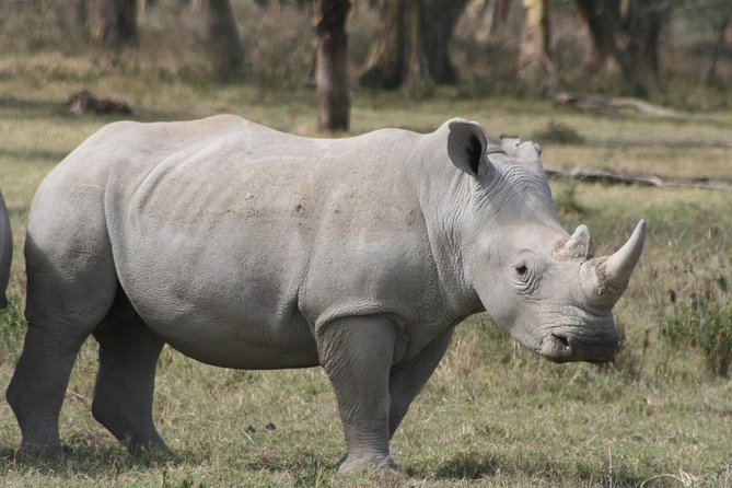 Lake Nakuru Day Trip From Nairobi - Dining and Refreshment Options