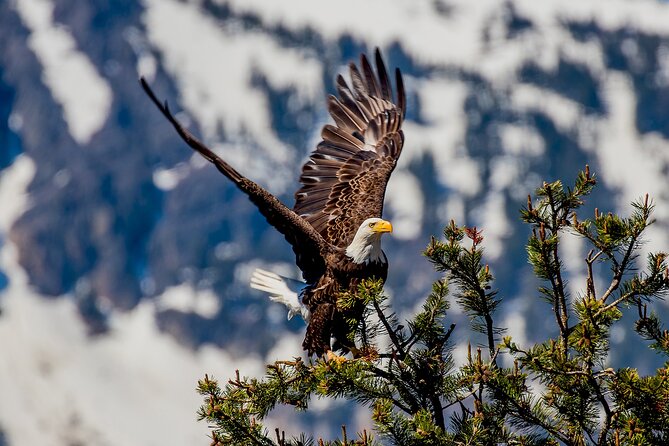 Lake Tahoe Small-Group Photography Scenic Half-Day Tour - Participant Information