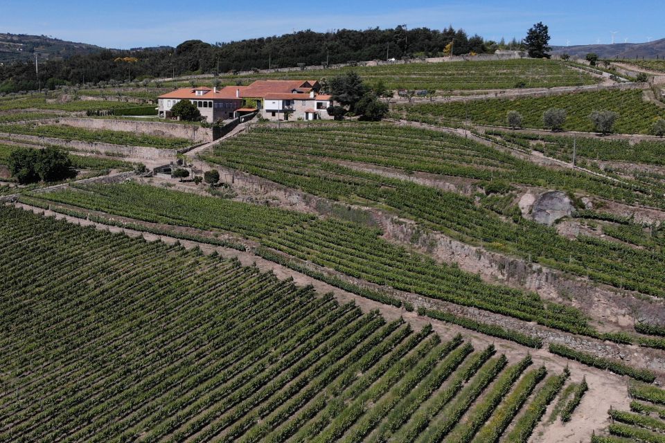 Lamego: Quinta Da Portela De Baixo Winery Tour and Tasting - Frequently Asked Questions