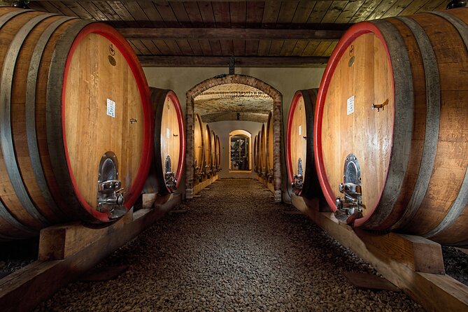 Langhe (Piedmont): Wine Tasting Experience - Highlights of the Guided Tour