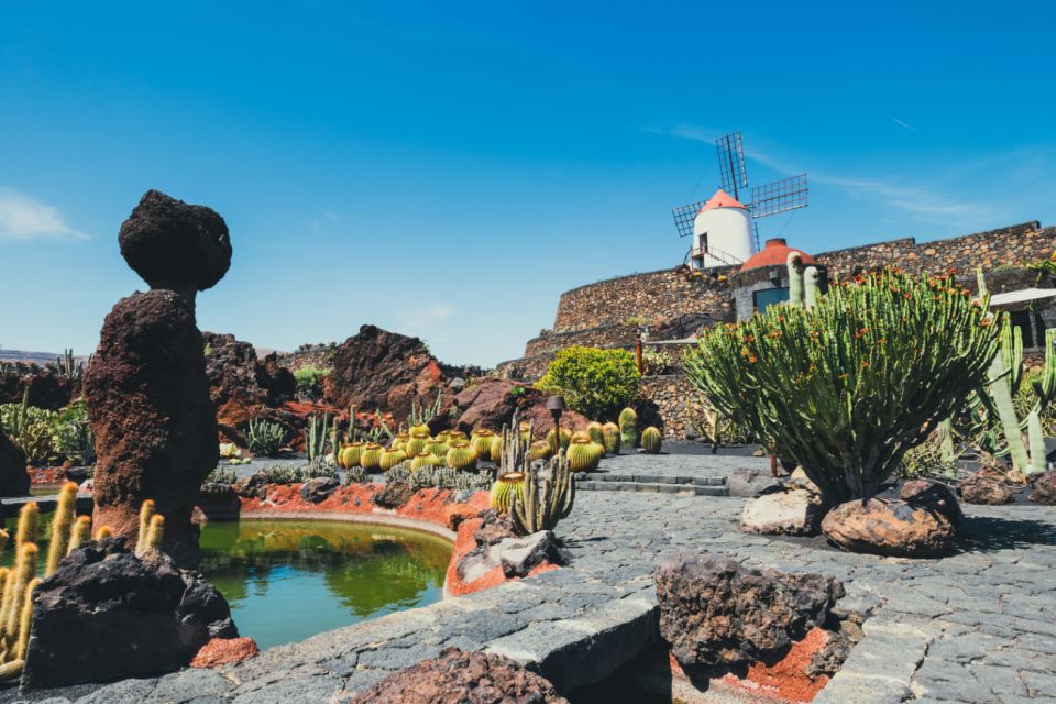 Lanzarote: César Manrique Full-Day Tour - How to Book