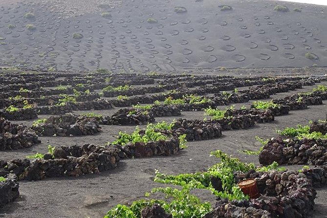 Lanzarote Highlights. Private Tour With Pickup (Price per Vehicle, Not P.P.) - Complimentary Bottled Water and Snacks