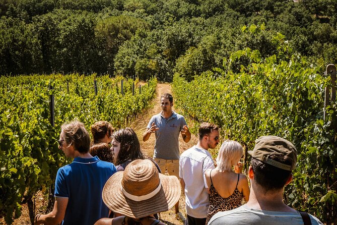 Lapi&Tour Guided Tour of the Cellars With Wine Tasting - Meeting Details and Itinerary