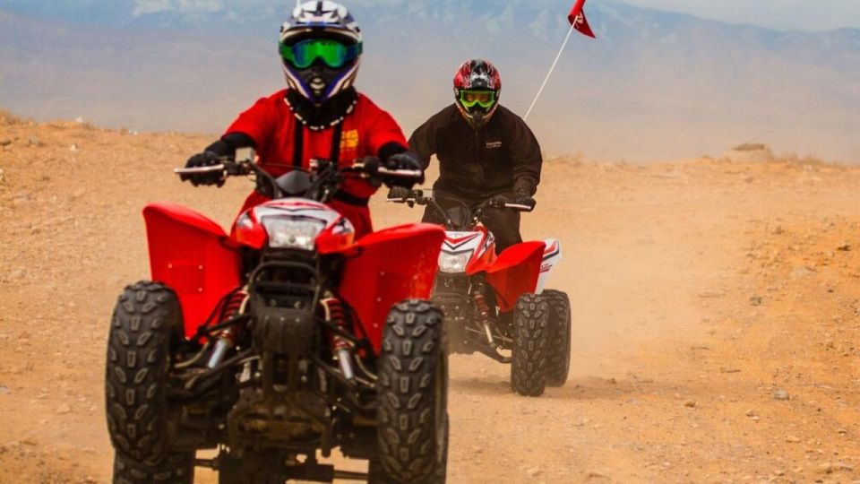 Las Vegas: Amazing Mojave Desert Nellis Dunes ATV Tour. - Transportation and Pickup