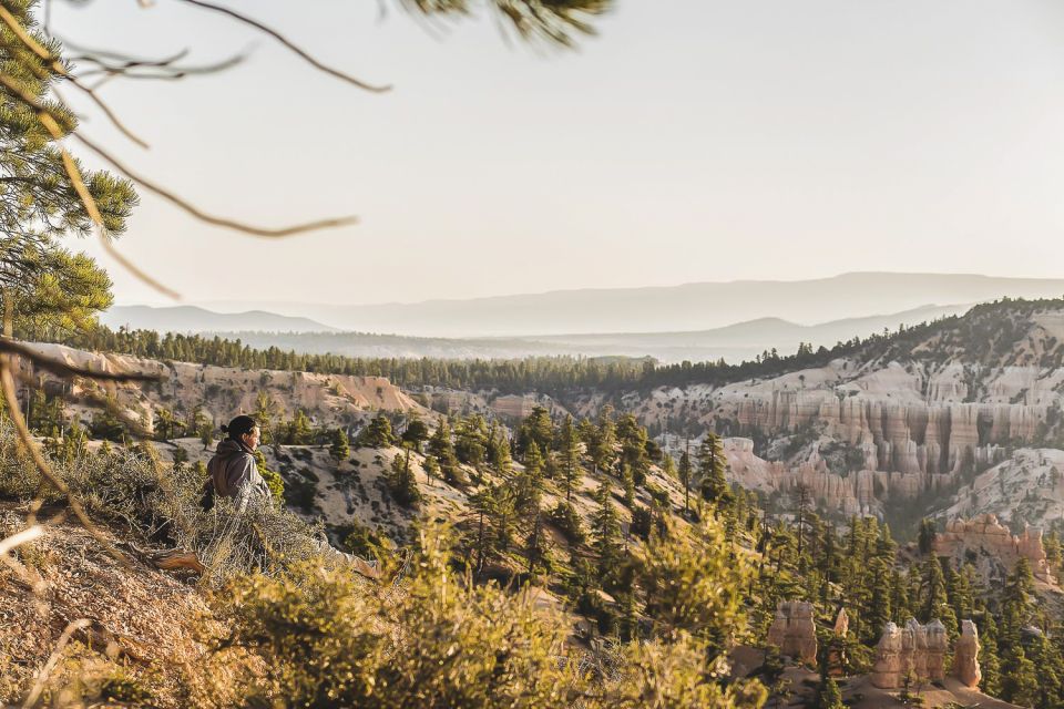 Las Vegas: Grand Canyon National Park South Rim Guided Tour - Departure and Pickup Locations