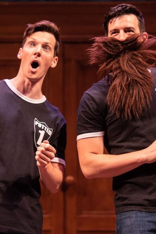 Las Vegas: Potted Potter - The Unauthorized Harry Experience - Customer Feedback