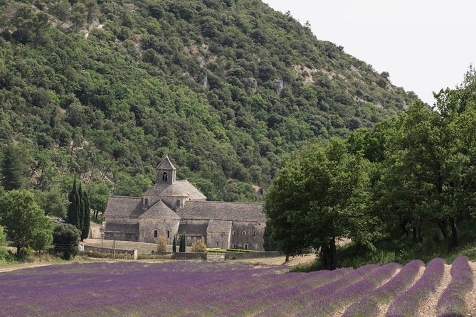 Lavender in Luberon Small Group Half-Day Trip - Booking and Cancellation