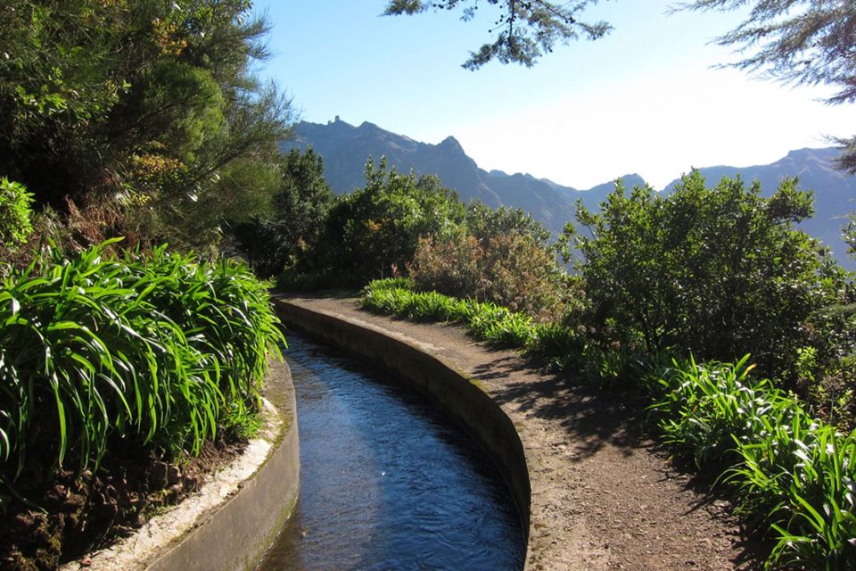 Levada Boa Morte - Quinta Grande Half Day - Easy Walk - Exotic Forest Features