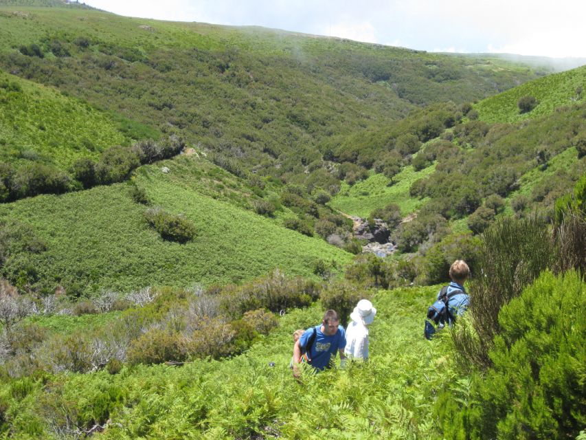 Levada Do Alecrim (Madeira Lakes) Full-Day Walk - Customer Feedback and Ratings