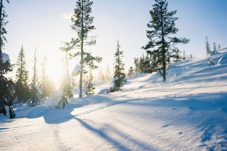 Levi: Snowshoe Adventure in the Wilderness - Pickup and Transportation Arrangements