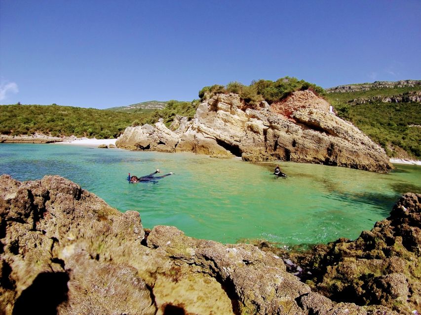 Lisbon: Arrábida Snorkeling Adventure - Preparing for the Activity