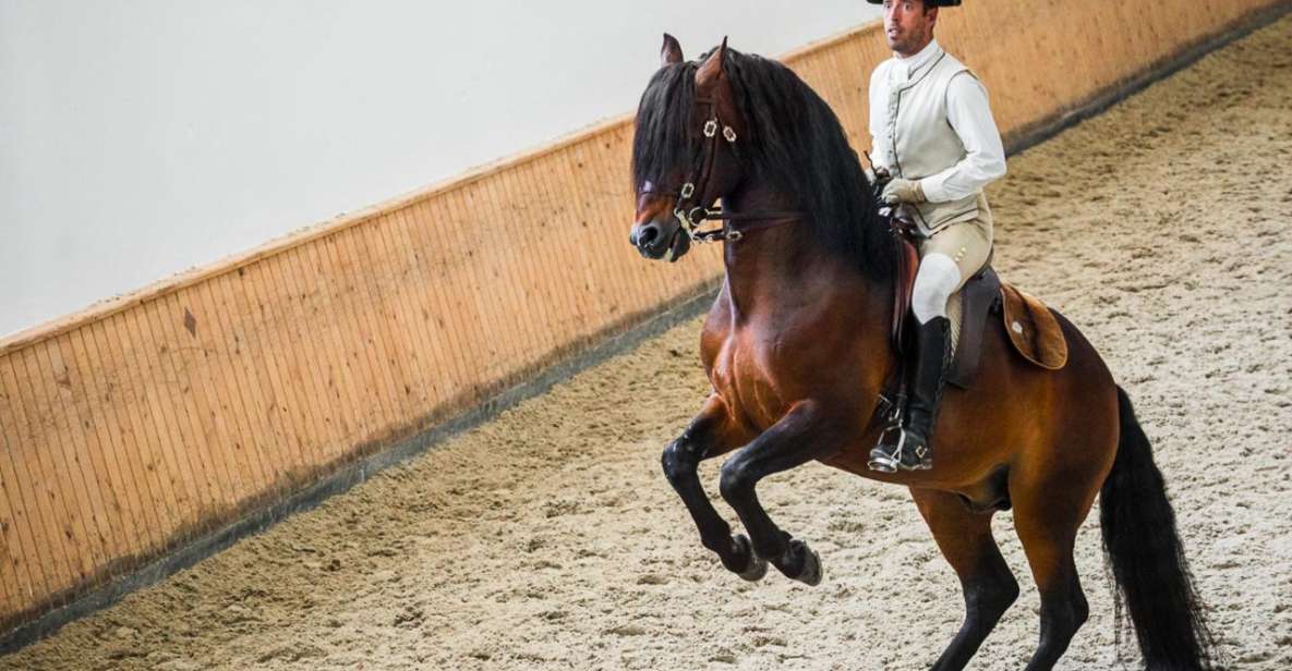 Lisbon: Portuguese Riding School Trainig With Lusitano Horse - Dress Code and Etiquette