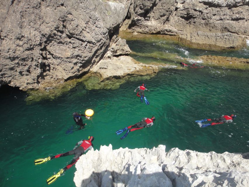 Lisbon: Snorkeling in Sesimbra/Arrábida Natural Park - Participant Information