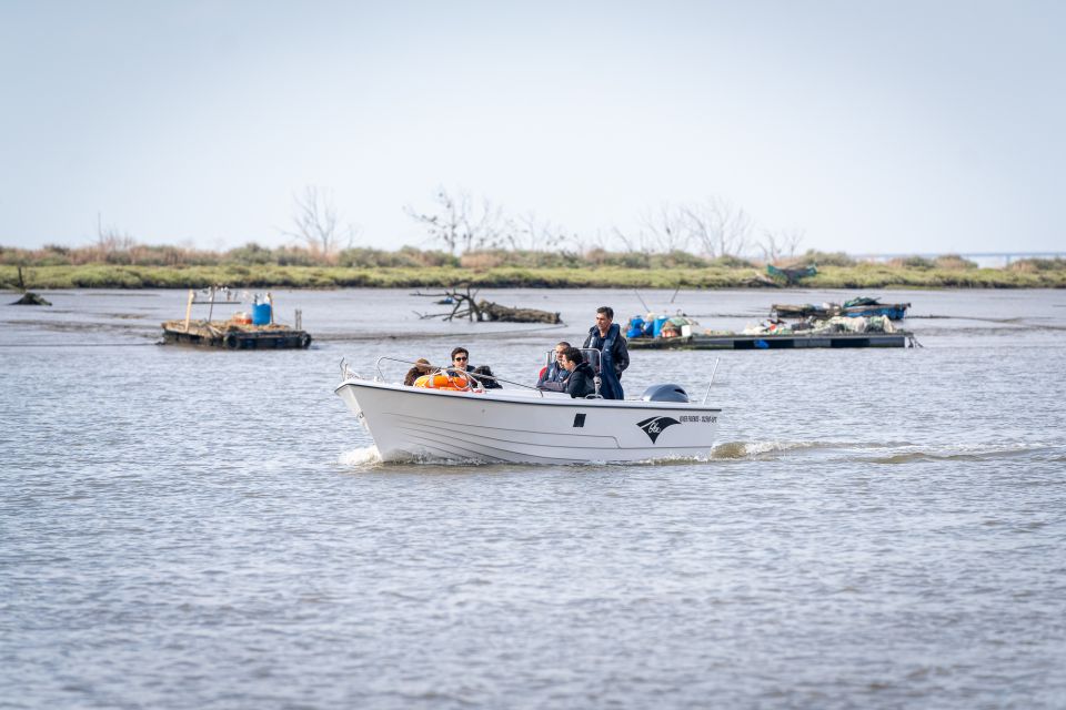 Lisbon: Tagus Estuary Nature Reserve Birdwatching Boat Tour - Tour Pricing and Duration