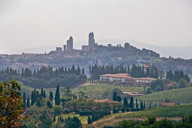 Livorno Shore Excursion: Private Day Trip to Siena and San Gimignano - Customer Reviews and Ratings