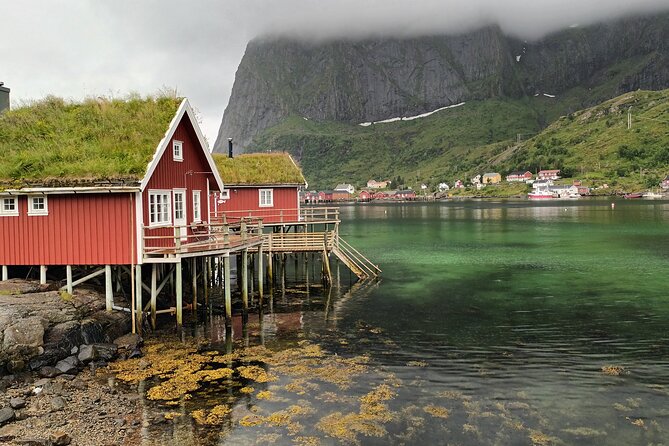 Lofoten PRIVATE Tour From Leknes - Small Group (1-4 Pax) - Exclusive Arrangement