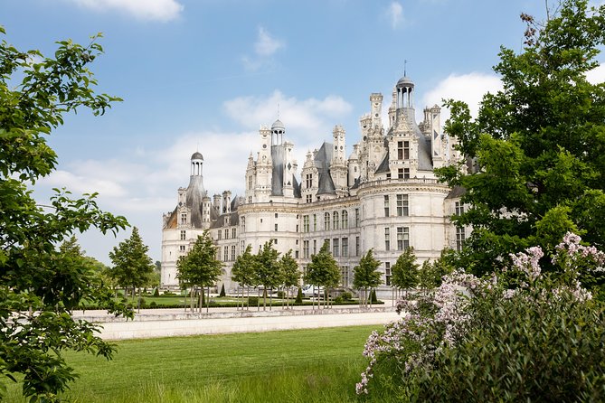 Loire Valley Wines and Castle Small Group Day Trip From Paris - Group Size and Transportation