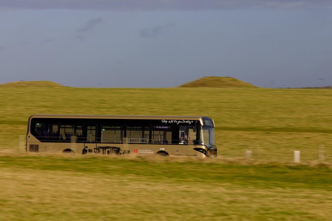 London to Stonehenge Shuttle Bus and Independent Day Trip - Accessibility and Policies