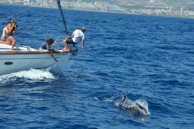 Los Gigantes Clifs Small-Group Sail Tour With Lunch - Unique Selling Points