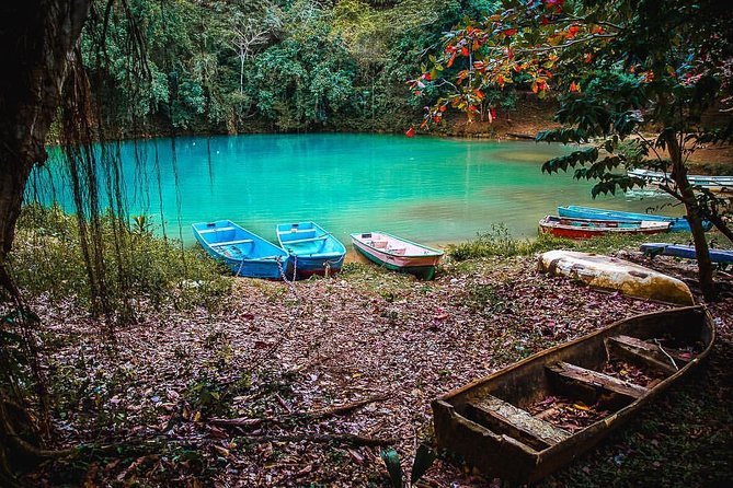 Los Haitises & Cayo Levantado (Lunch Included, From Samana in Catamaran or Boat) - Learning About Local Flora and Fauna