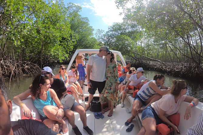 Los Haitises National Park With Montana Redonda, River and Lunch From Punta Cana - Important Requirements and Notes