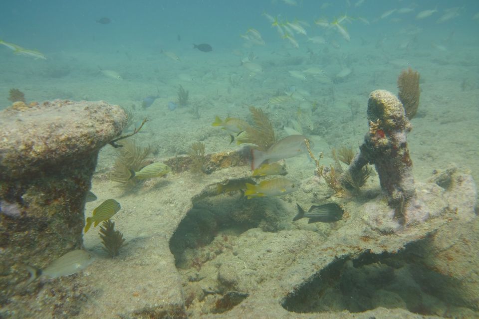 Lower Grand Lagoon: Panama City Beach Guided Snorkeling Tour - Safety Considerations