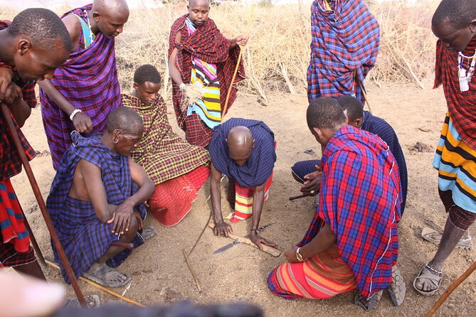 Maasai Village Visit, Materuni Waterfalls & Coffee Experience - Pickup and Accessibility