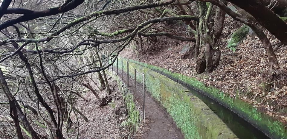 Madeira: 25 Fontes and Risco Levada Hike With Transfers - Pickup Locations