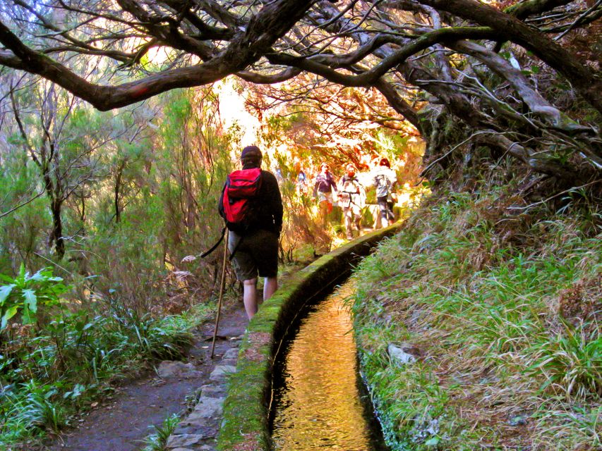 Madeira: Enjoy a Guided Levada Walk in the Rabaçal Valley - Booking and Flexibility