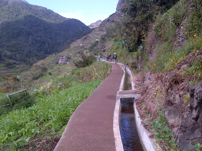 Madeira: Maroços Landscapes 2.5-Hour Guided Walk - Customer Feedback and Ratings