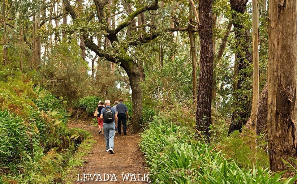 Madeira: Mini-Combo East Challenge: Jeep Safari + Levada - Scheduled Itinerary