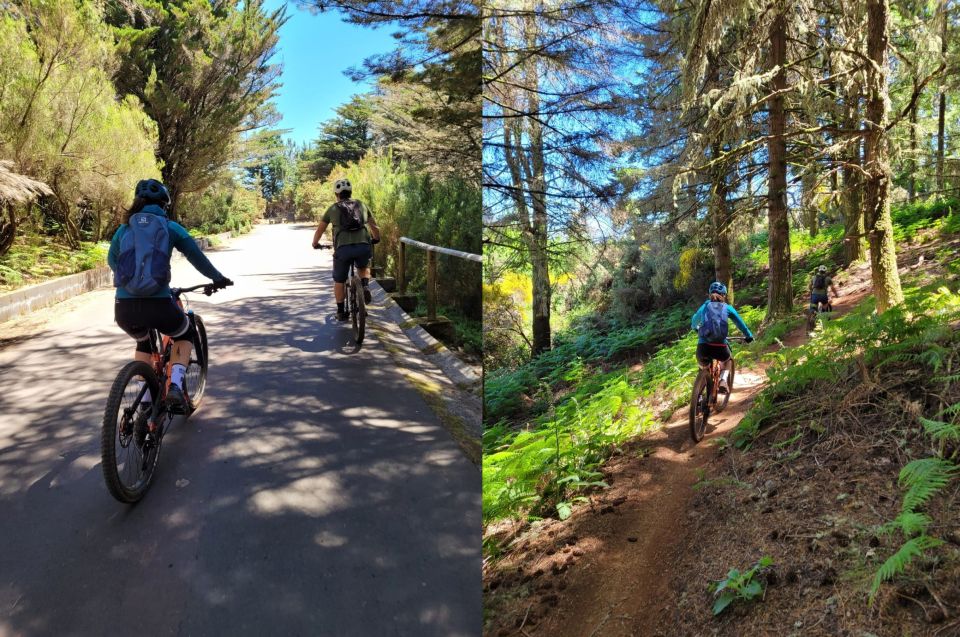 Madeira - Mountain Biking Tour - Enduro World Series Trails