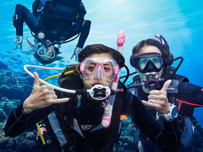 Madeira: Open Water Diver First Certification Course - Pricing and Booking